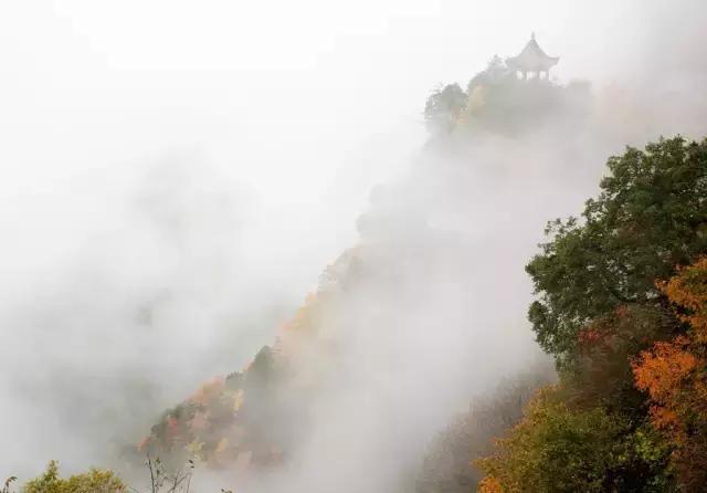 三五结合秋意浓是什么生肖详细解答、专家解答解释落实