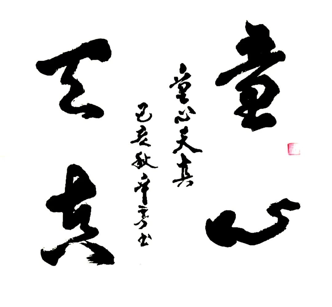 瞻予马首打一准确生肖的全面释义、解释与落实、精准解答解释落实