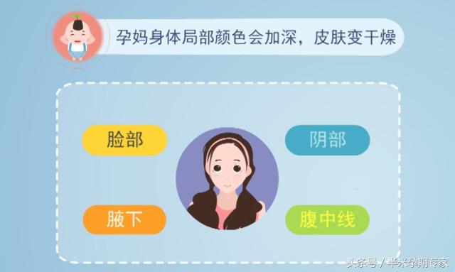 脸部变化会观察,言语重点善摸抓是什么生肖请全面释义、解释与落实、深度解答解释落实