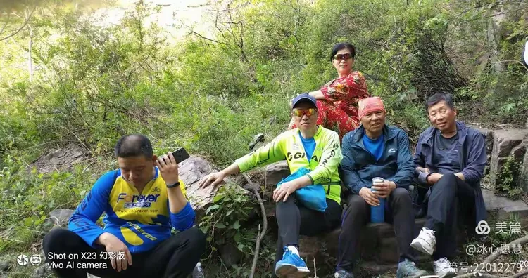 三五一群来不尽 品茗偿饼不知眠打一生肖仔细释义、解释与落实、综合解答解释落实